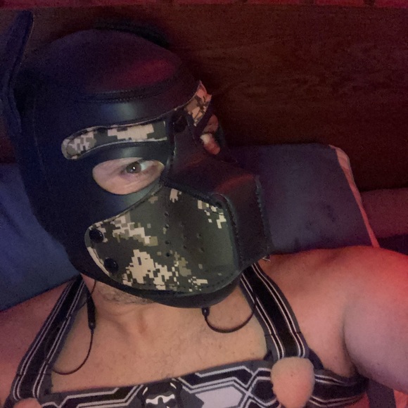 Meet your Posher, Maximilian - Picture 6 of 8